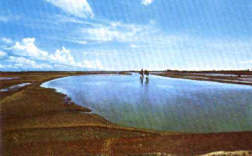 Coastal lagoon near Madras